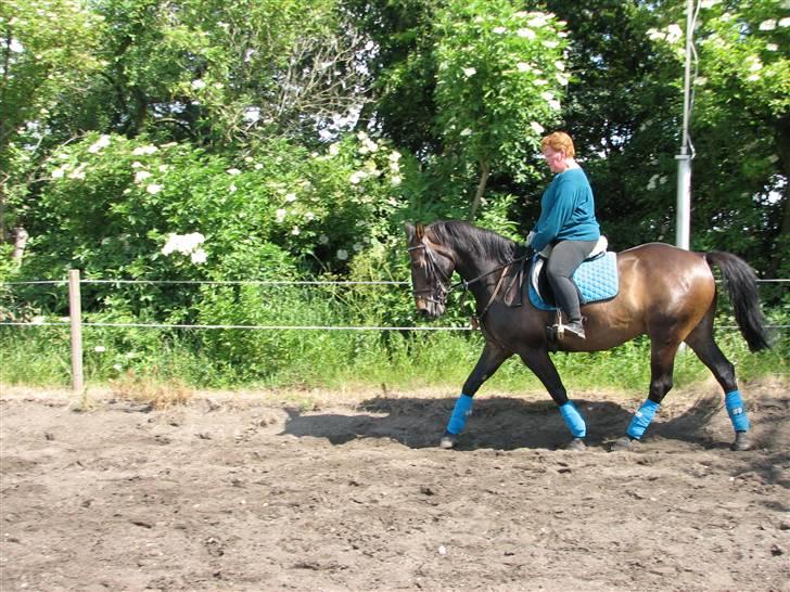 Oldenborg Prince - vi skal da lige have lidt trav billede 4