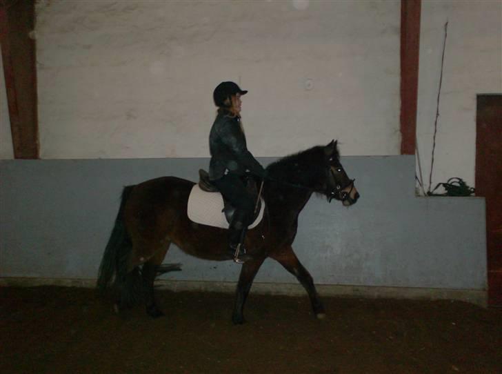 Anden særlig race R.I.P Flika :'(<3 - så er det undervisning billede 11