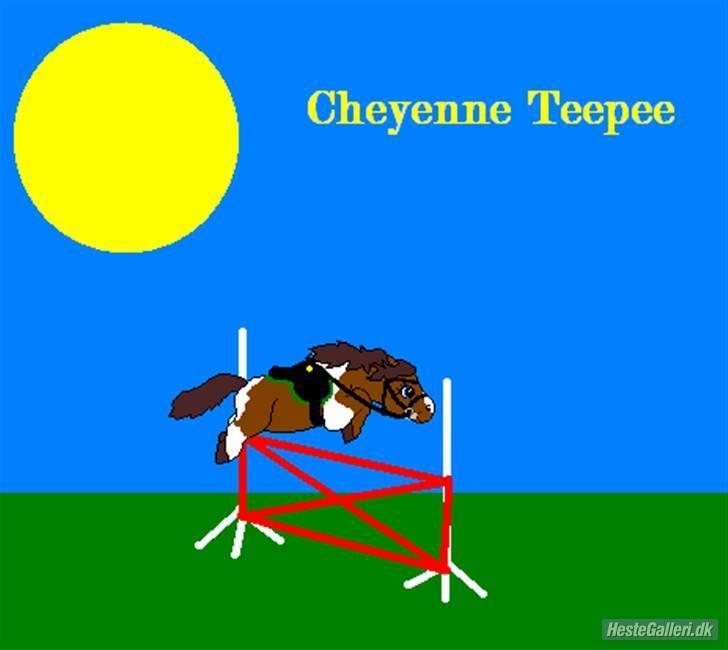 Pinto Cheyenne Teepee*SOLGT* billede 15