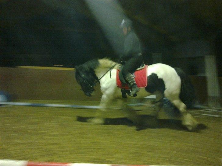 Irish Cob Gipsy - gipsy og mig 8-11-10 billede 12