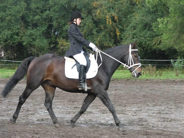 Oldenborg Prince - se hvor dygtig han er billede 6