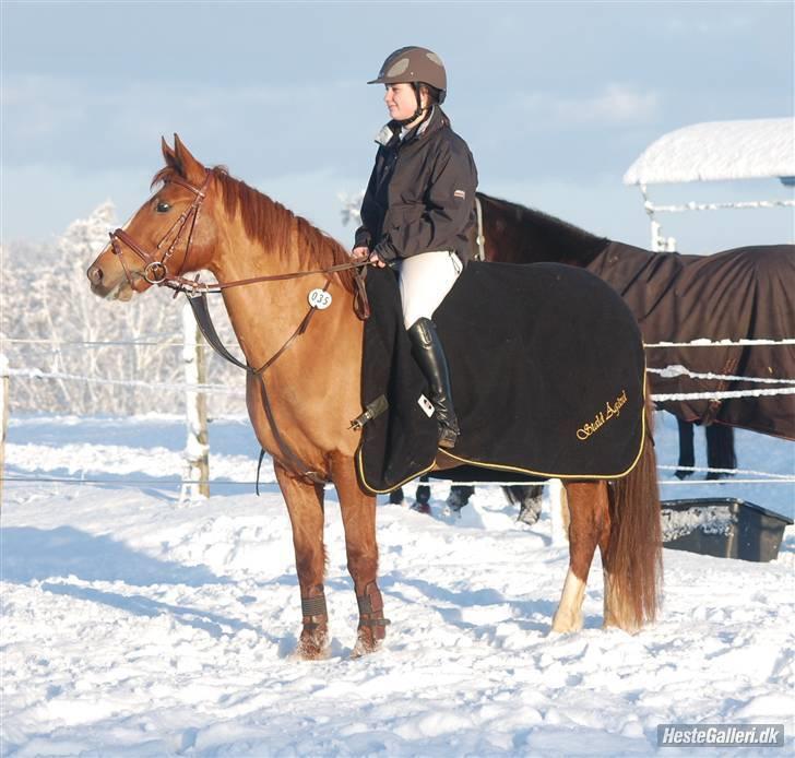 Anden særlig race Red Alert SOLGT :'/ - <3. Du ER alt! billede 14