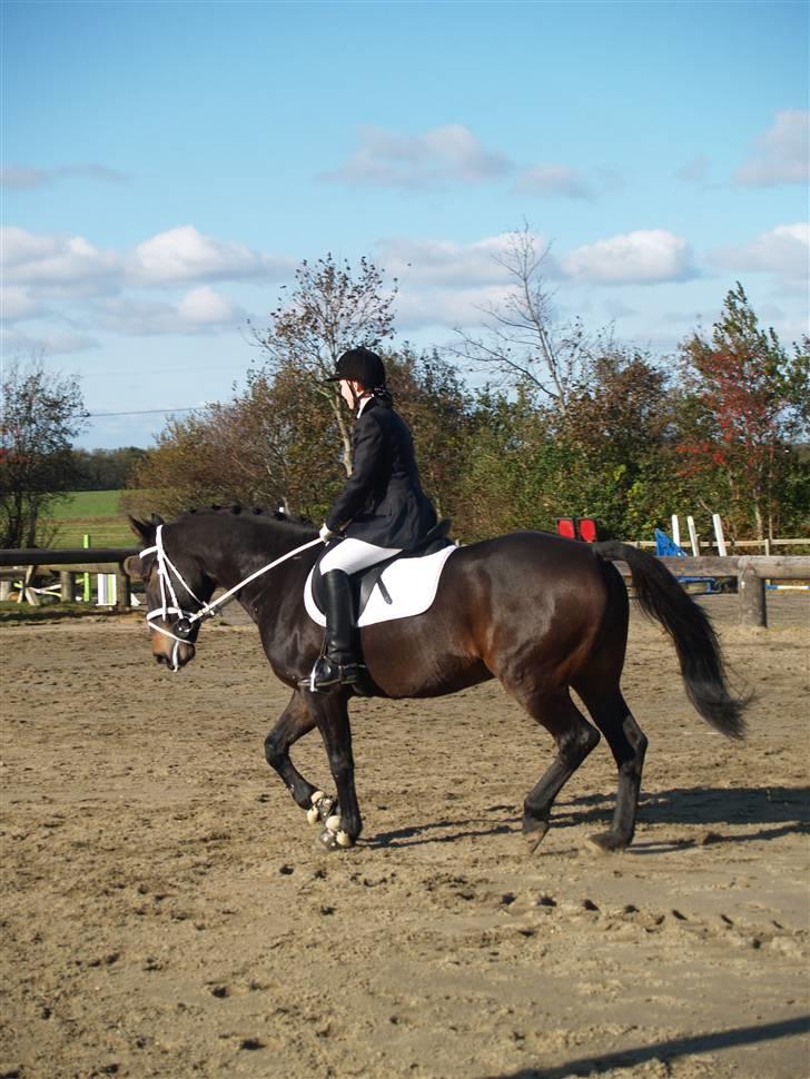 Oldenborg Prince billede 9