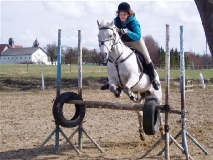 Connemara Frederiksminde Sir Prize - springning 2004/5, hjemmelavet spring :) billede 10