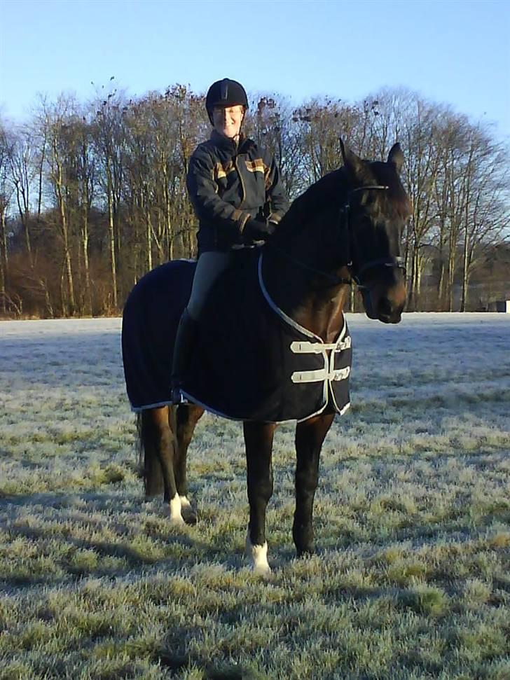 Oldenborg frodo - frodo billede 1