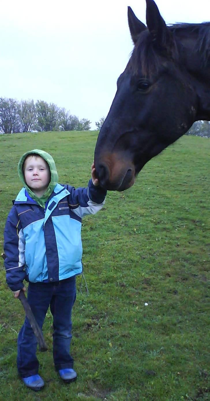 Oldenborg frodo - mon børn kan spises billede 3