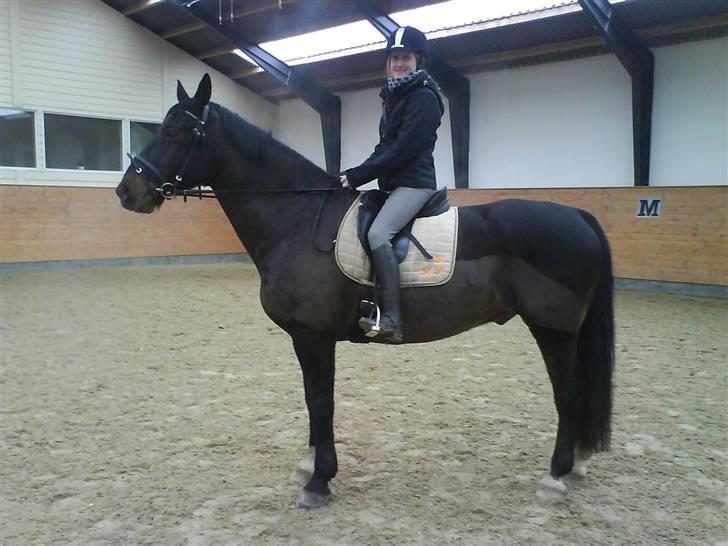 Oldenborg frodo - min søster på frodo lige efter hun var nede og bide i banen men det var hendes egen skyld billede 4