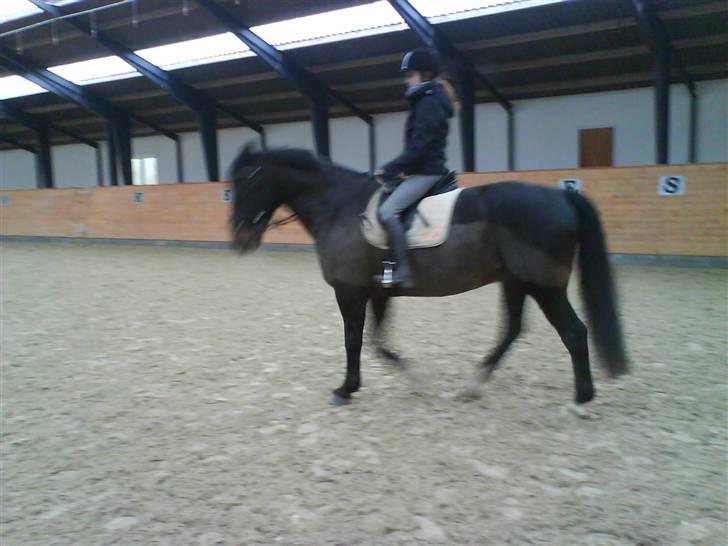 Oldenborg frodo - fremad igen billede 5