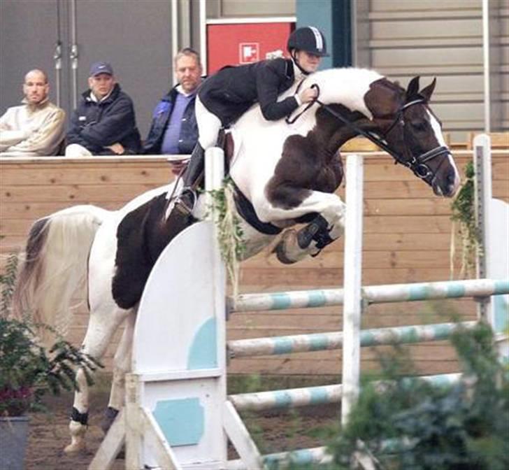 Pinto Gantrup Tinka.  - Faren<3 PLAYBOY!!<3 love! billede 15