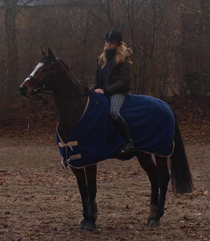 Fuldblod (XX) Perfect Match R.I.P billede 10