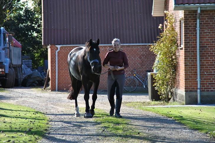 Dansk Varmblod Kærsholms Daisy. R.I.P. - Daisy og mig på vej på græs. d.5 sep 2010. Foto . fie billede 10