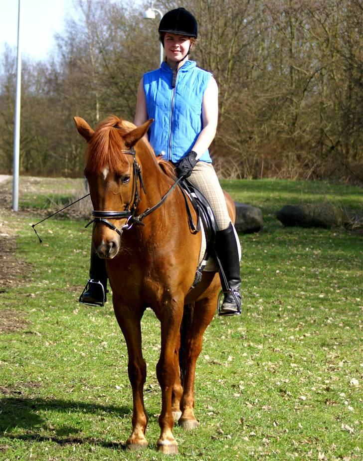 Anden særlig race Kalula - Dresurkursus billede 7