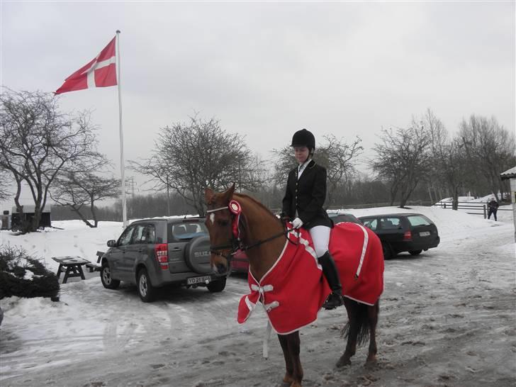 Anden særlig race Kalula - Klubmesterskab 2009  (Klubmester 2009) billede 11