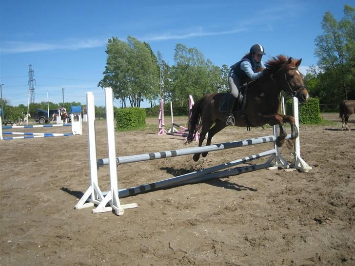 Anden særlig race Kalula - springundervisning forår 2007 billede 15