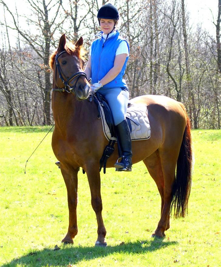 Anden særlig race Kalula - elizabeth og kalula billede 17