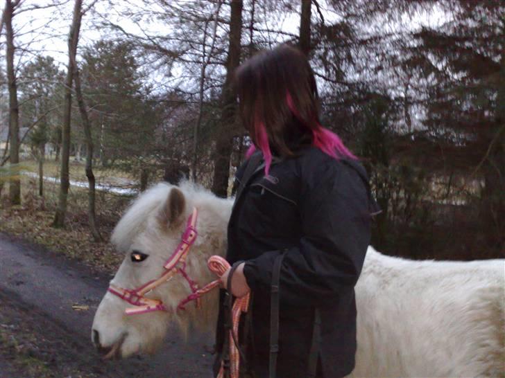 Anden særlig race Safir (SOLGT) - Sidste gang jeg slod med safir. Vi stod og Ventede på Louise kom og hentede hende. :´( billede 8