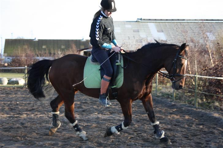 Anden særlig race Frederikke :-* - minpige. jeg elsker dig! | foto ida (LL). billede 12