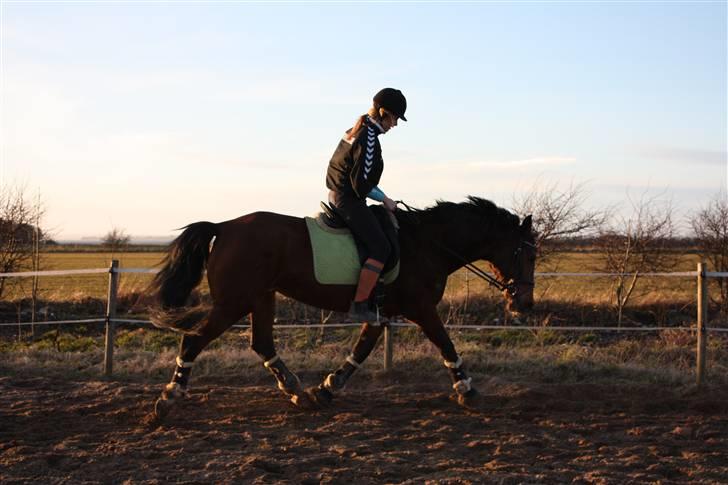 Anden særlig race Frederikke :-* - minpige. jeg elsker dig! | foto ida (LL). billede 13