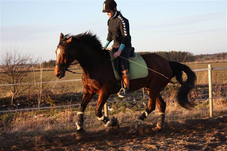 Anden særlig race Frederikke :-* - minpige. jeg elsker dig! | foto ida (LL). billede 14