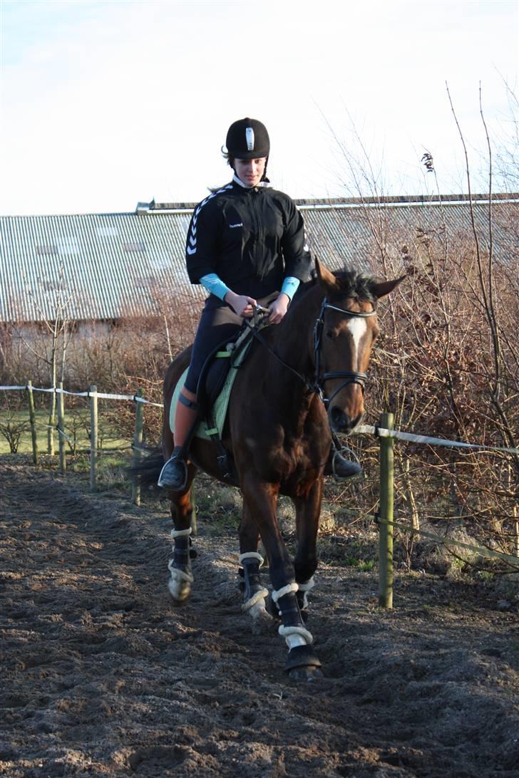 Anden særlig race Frederikke :-* - minpige. jeg elsker dig! | foto ida (LL). billede 15