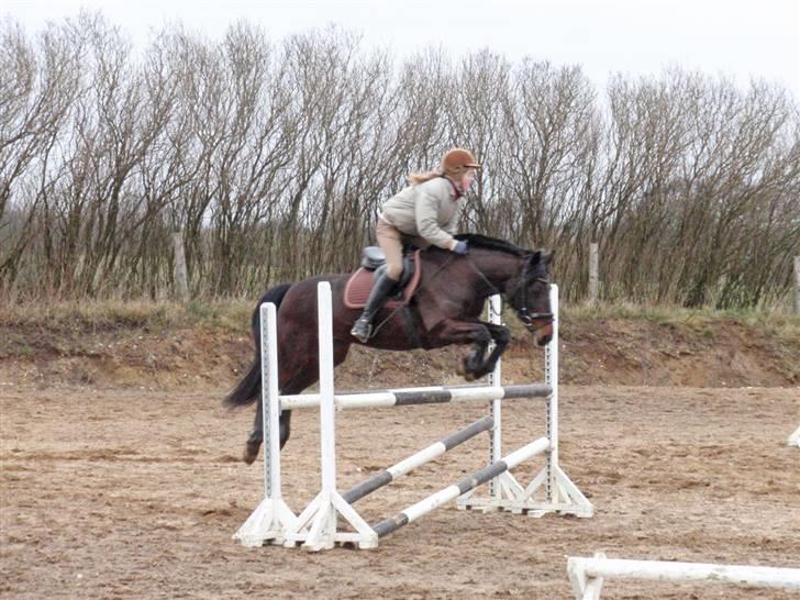 Anden særlig race Stella (solgt) - [18] spring d. 28/2 09 Foto: jus billede 17