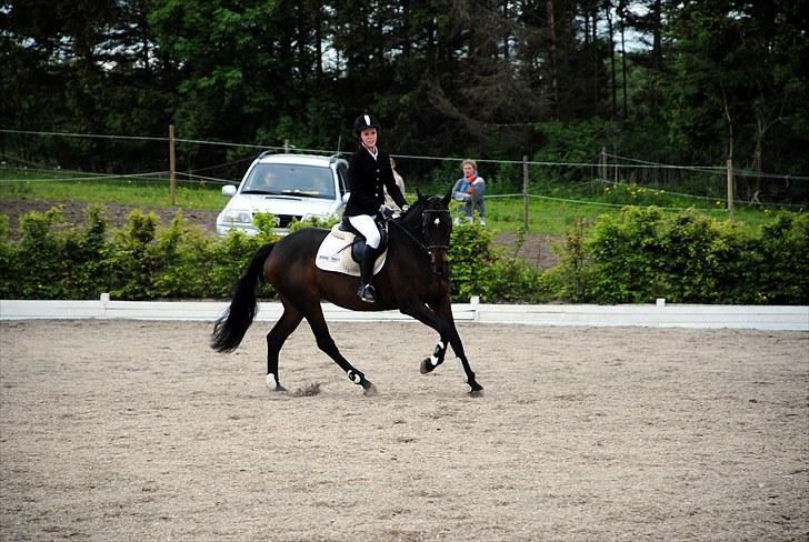 Dansk Varmblod Tembell | part - Stævne | foto: Katrine (KHH) billede 12