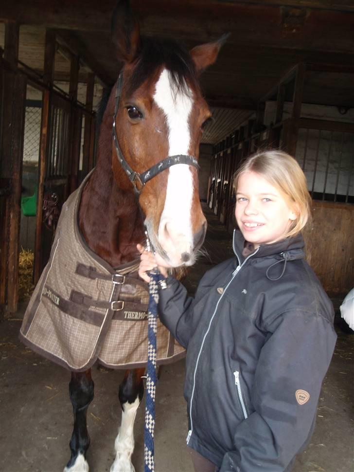 DSP Charleston *solgt* billede 11