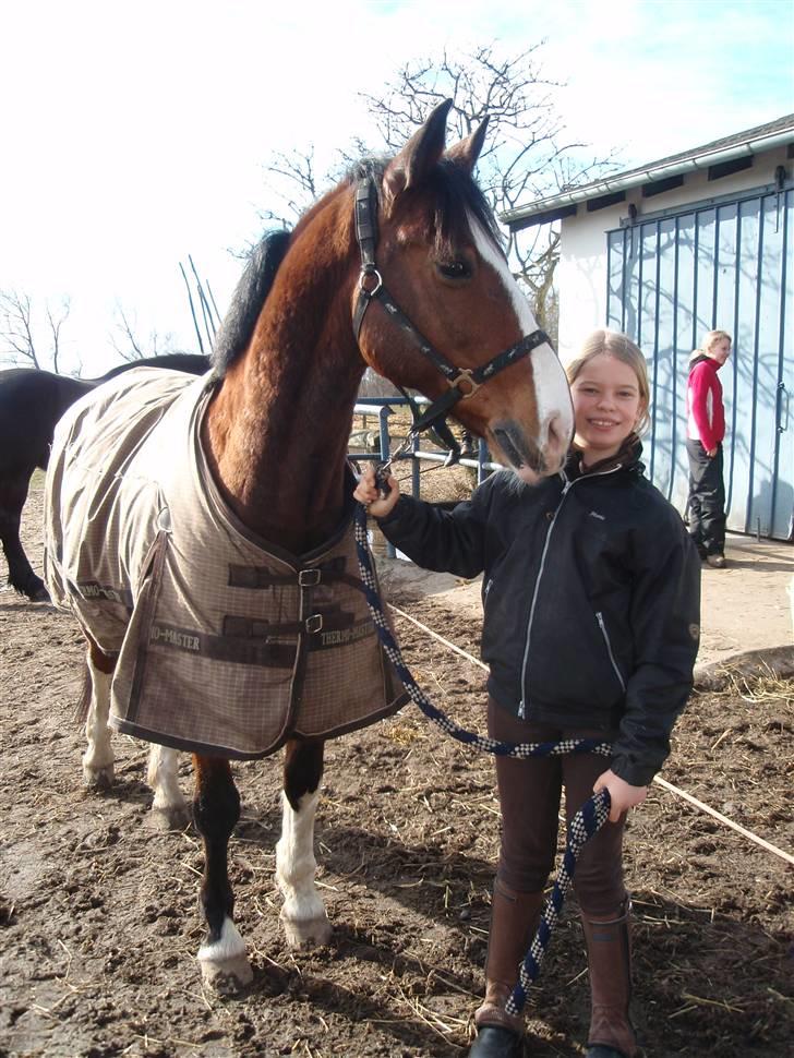 DSP Charleston *solgt* billede 12