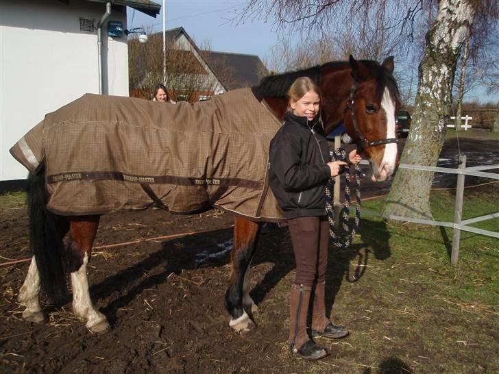 DSP Charleston *solgt* billede 13