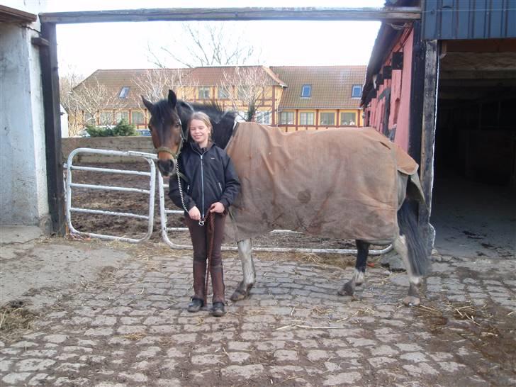 Anden særlig race Zahro -min gamle helpart billede 11