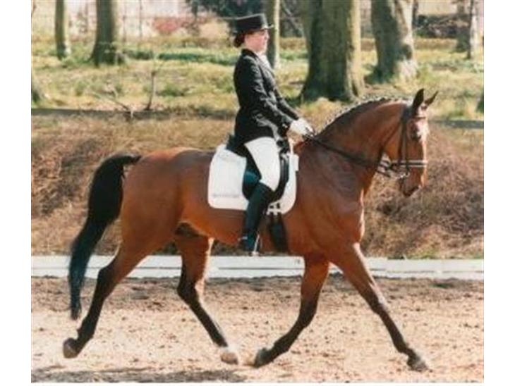 {{currentPhoto.altText}} billede {{currentPhoto.number}}