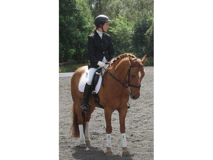 {{currentPhoto.altText}} billede {{currentPhoto.number}}