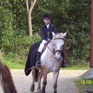 Anden særlig race Asterix RIP <3