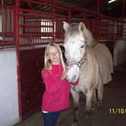 Anden særlig race Asterix RIP <3