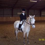 Anden særlig race Asterix RIP <3