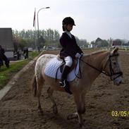 Anden særlig race Asterix RIP <3