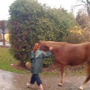 Frederiksborg Miss Maj Skyttegård