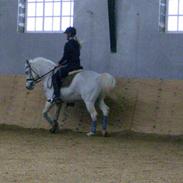 Anden særlig race Anti badanti Shantih;D