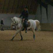 Anden særlig race Anti badanti Shantih;D