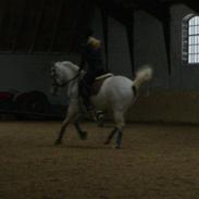 Anden særlig race Anti badanti Shantih;D