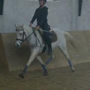 Anden særlig race Anti badanti Shantih;D