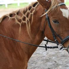 Anden særlig race Stjerne - part *savnes!*