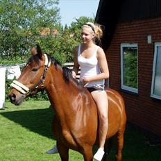 Anden særlig race Smilla