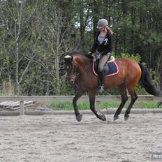 Anden særlig race Smilla