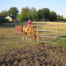 Anden særlig race Malou (min fars )  solgt