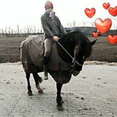 Anden særlig race joey *B-pony*