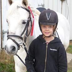 Welsh Pony (sec B) Korreborgs Figaro