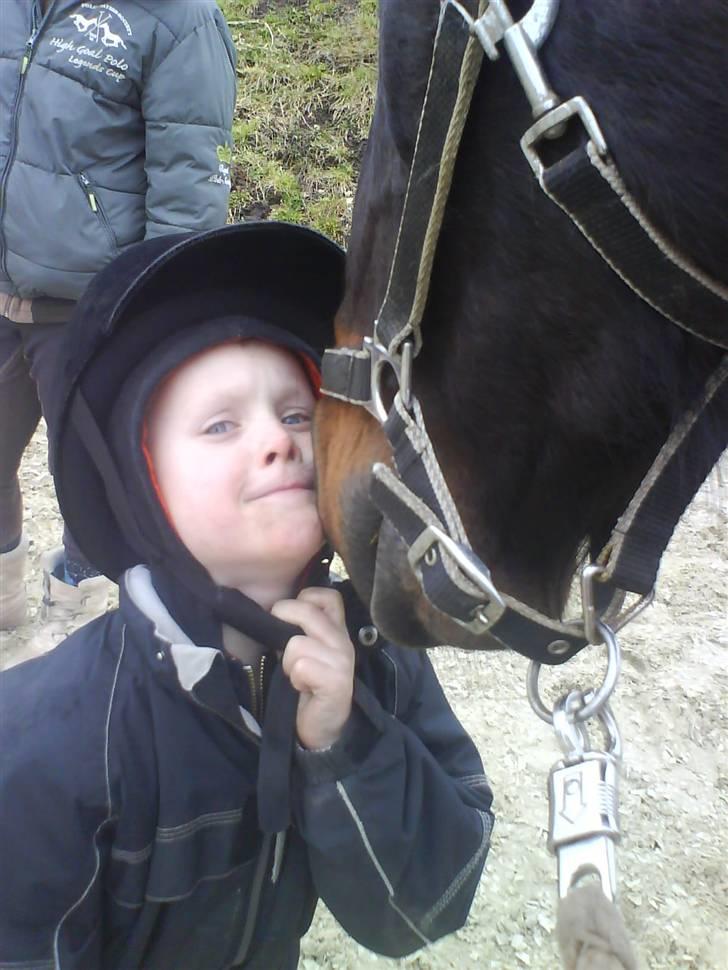 Oldenborg frodo - nicki og frodo hans yndlingshest  billede 6