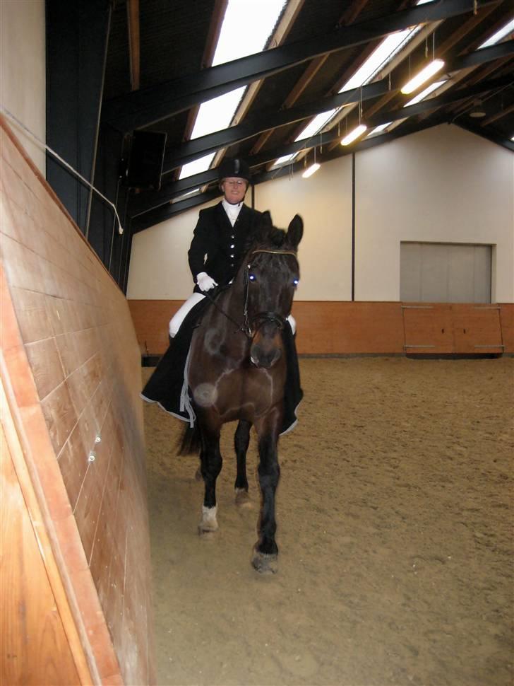 Oldenborg frodo - ud igen efter en la1 til 63% det gik jo rigtig godt  billede 8