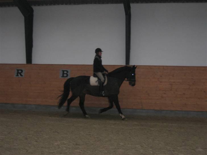 Oldenborg frodo billede 10